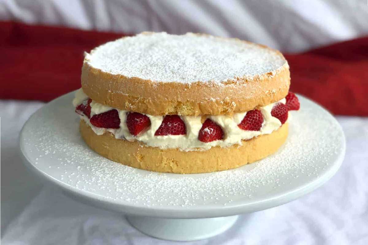 Sponge Cake