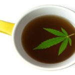 What to Know About CBD Tea?