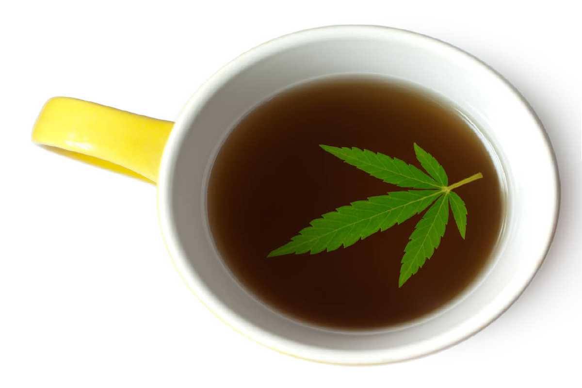 What to Know About CBD Tea?