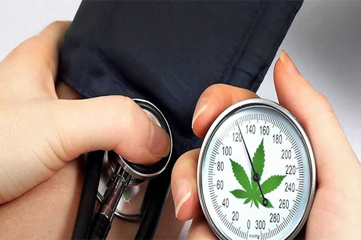 How Does CBD Affect Blood Pressure?