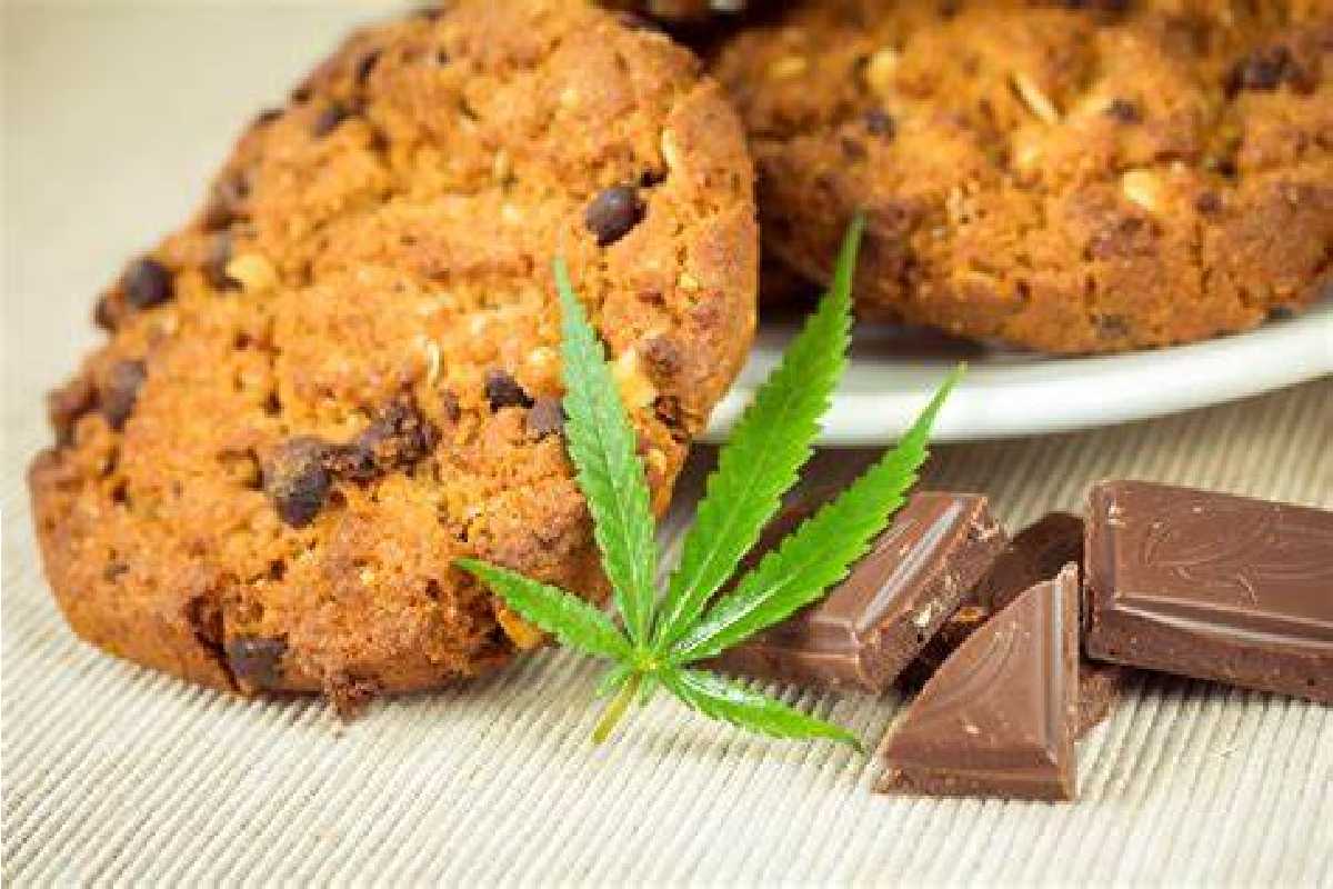 Delicious CBD Snacks for Relaxation