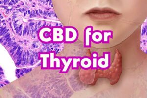 CBD for Thyroid