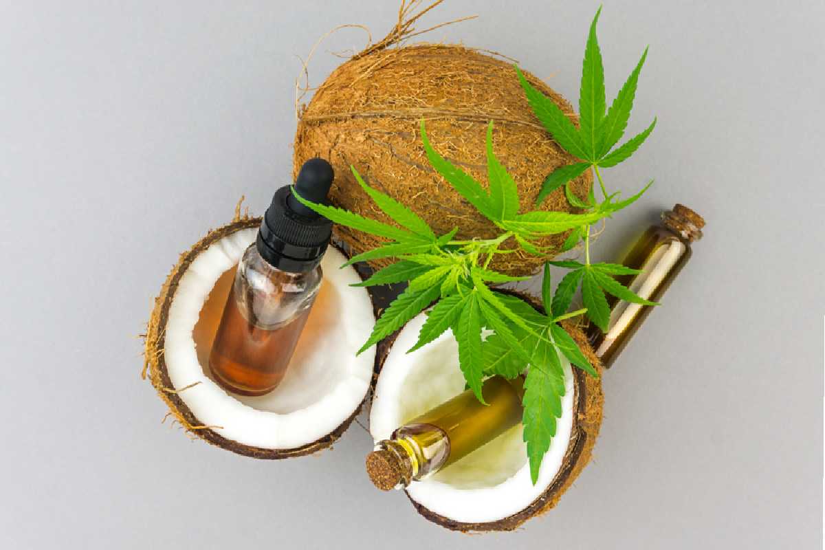 Making CBD Oil from Coconut Oil