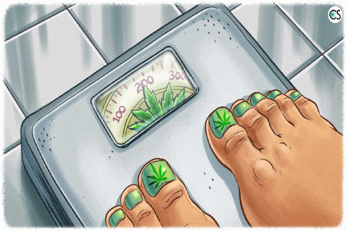 The Effects of CBD on Your Weight