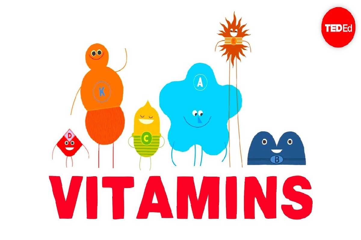  How do Vitamins Work?