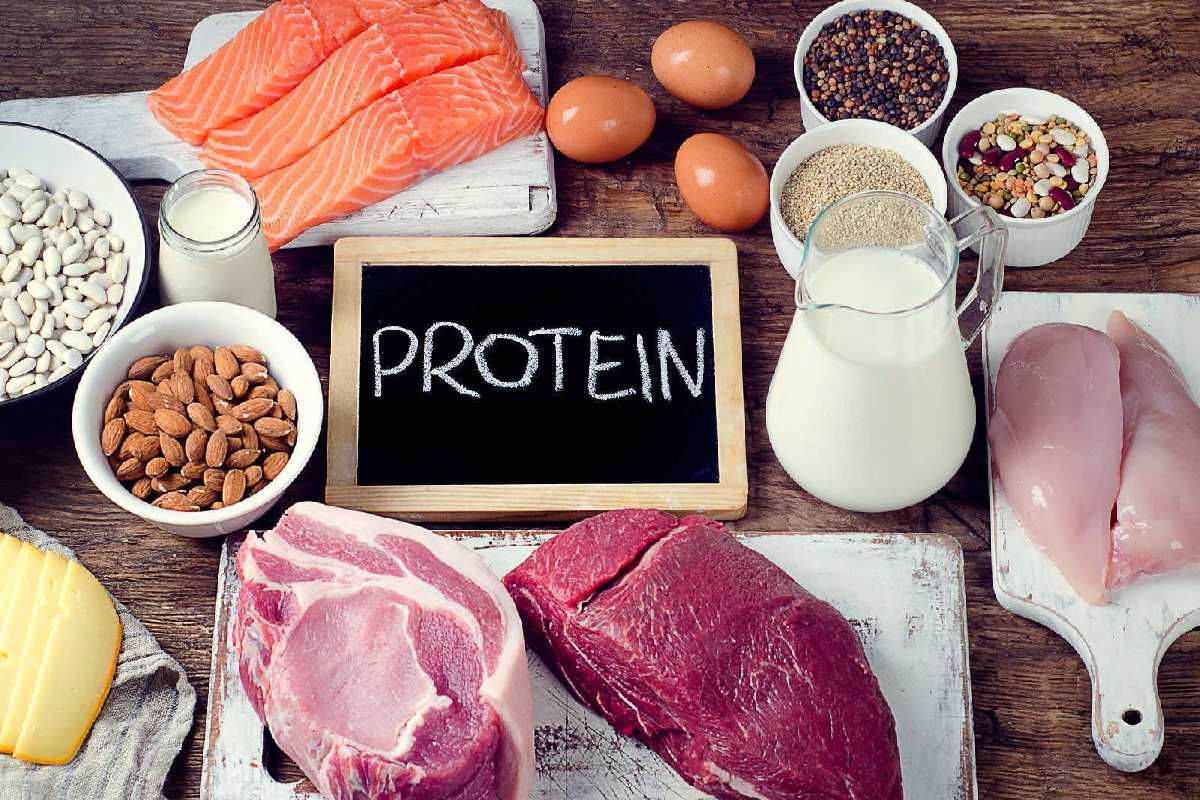 What is Protein?