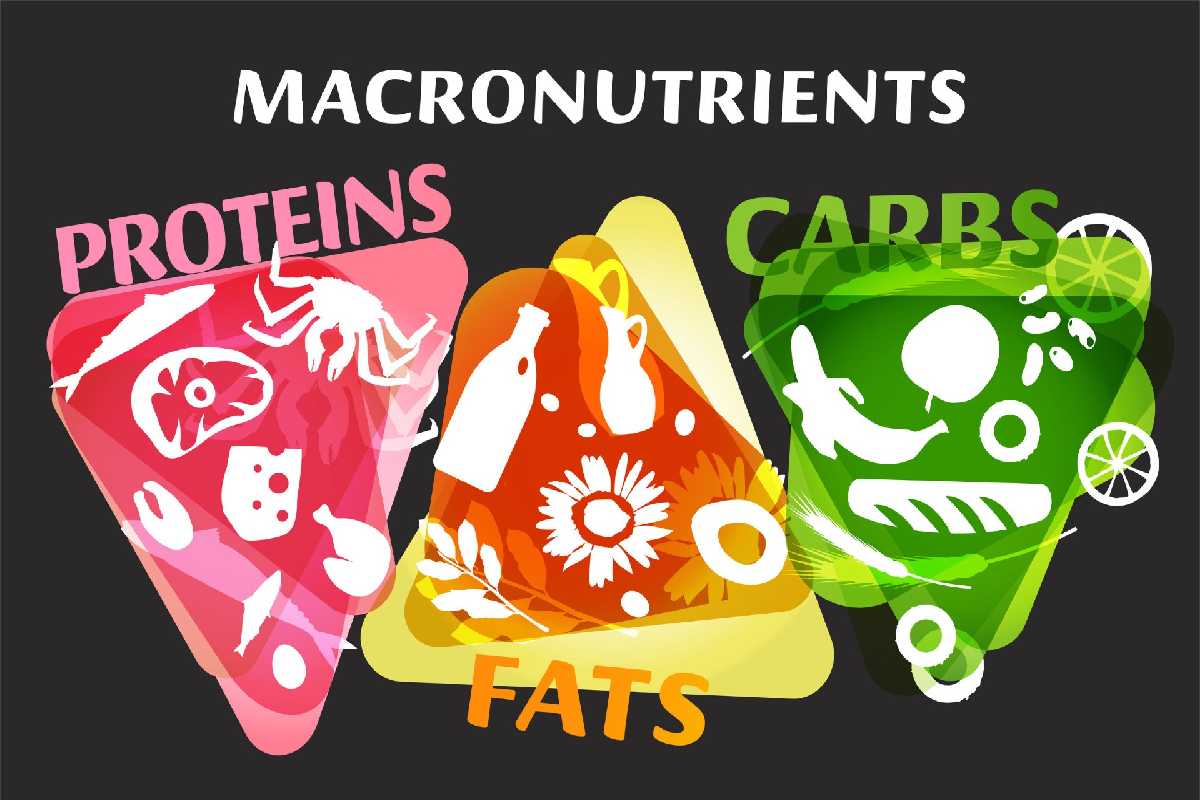 Essential Guide to Macros