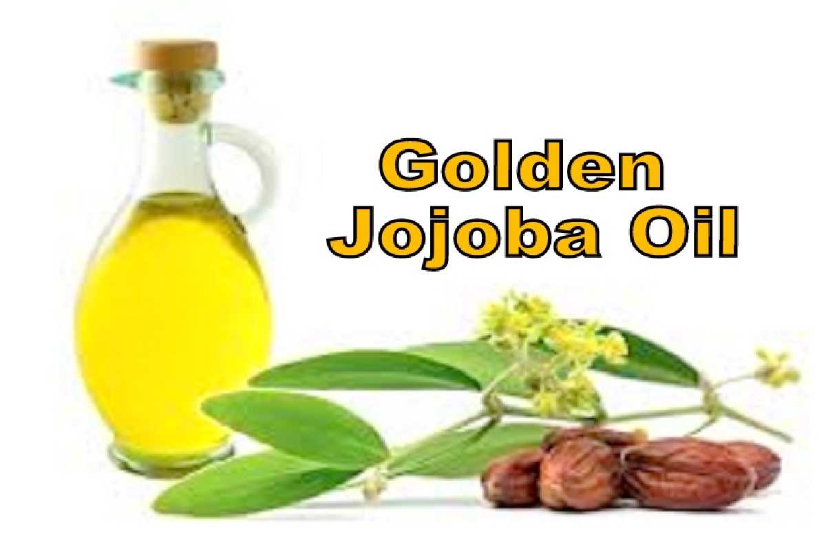Jojoba Oil Benefits Liquid Gold for Skin