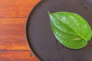 Betel Leaves- Benefits and Side Effects