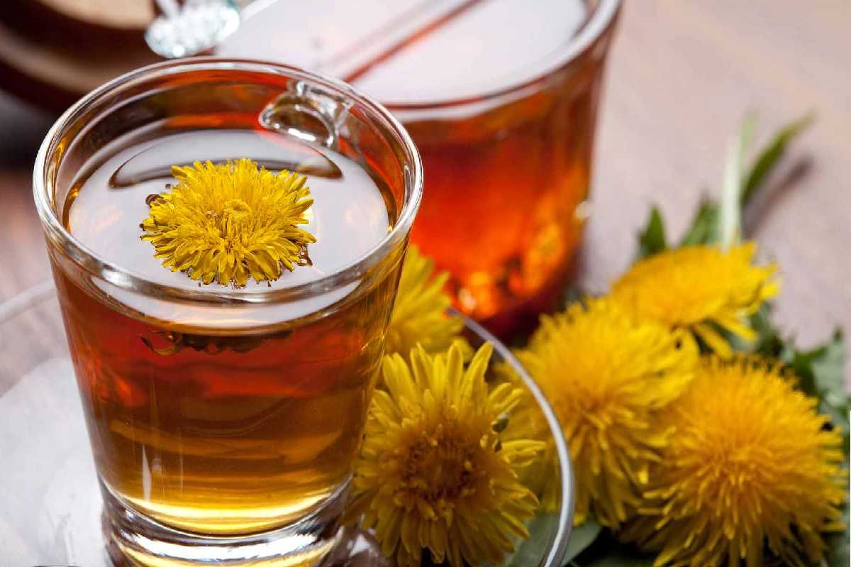 Dandelion- For Liver And Kidney