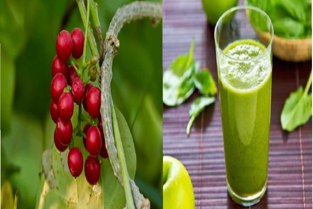 Giloy – The Ultimate Immunity Booster